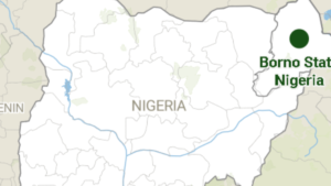 Boko Haram Attack in Borno: 57 Dead, 70 Missing