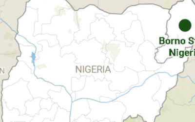 Boko Haram Attack in Borno: 57 Dead, 70 Missing