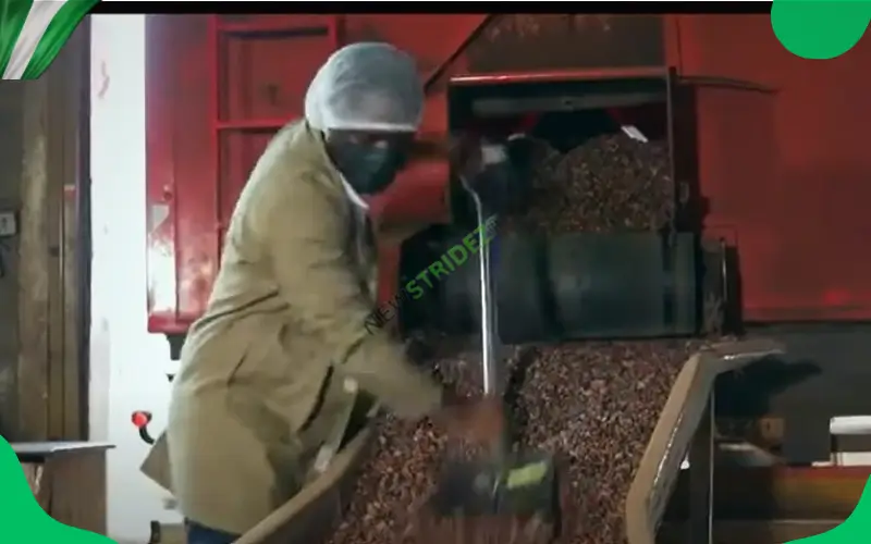 Agro Export Value Chain = Dollar Chasing in Nigeria. Photo Credit: @shuvalova-nataliak