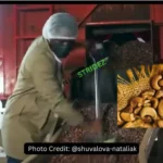 Agro Export Value Chain = Dollar Chasing in Nigeria. Photo Credit: @shuvalova-nataliak