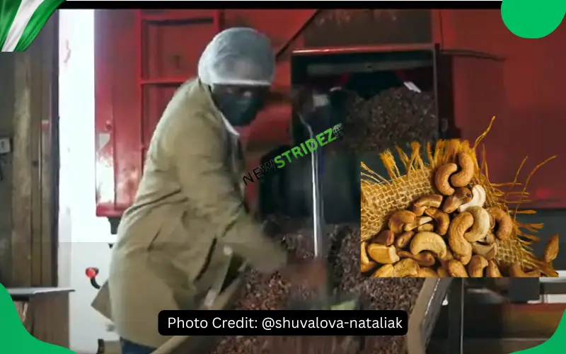Agro Export Value Chain = Dollar Chasing in Nigeria. Photo Credit: @shuvalova-nataliak