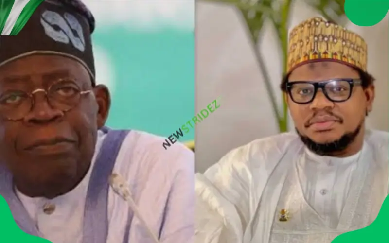 APC Alarm: “Sycophants Misleading Tinubu” Shocks Nigeria.