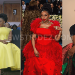 🔥 “Who Was Involved?” Court Fixes Inquest Over Chimamanda’s Son’s Death-Credit: chimamanda_adichie source: Instagram