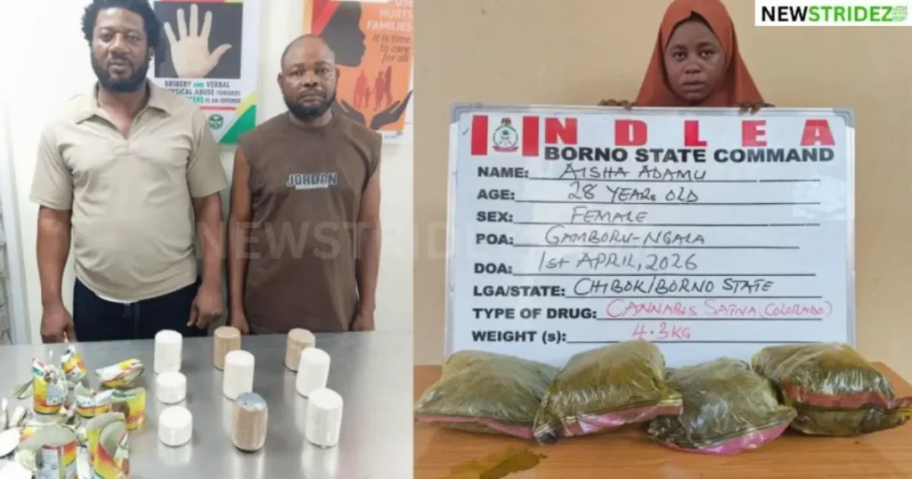 🚨 Coc@ine Bust: “We Found It Hidden in Palm Oil Cans” — NDLEA(Photos)