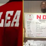 NDLEA Arrests Convicted Trafficker Behind Cocaine Shipments To Saudi Arabia