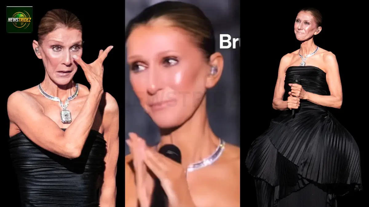 Celine Dion Returns To Stage In Paris After Six-Year Break