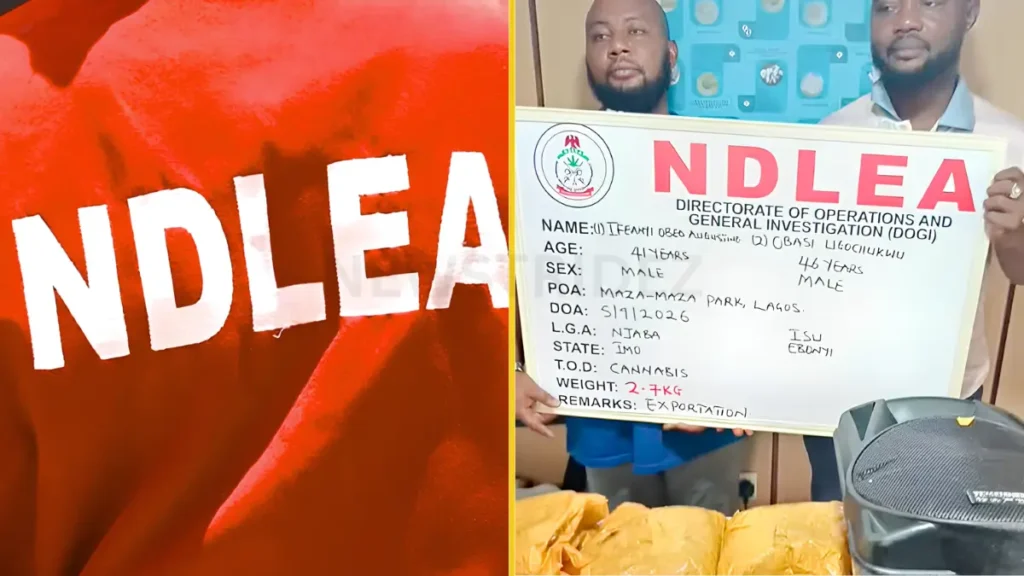 NDLEA Intercepts UK Colos, Recovers Drugs Hidden In Bread