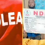 NDLEA Intercepts UK Colos, Recovers Drugs Hidden In Bread