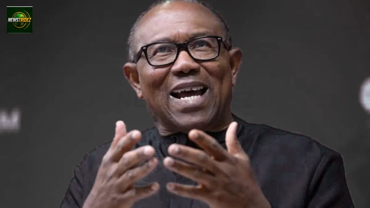 Peter Obi Degree Certificate Is Authentic, UNN Confirms In Fact-Check